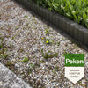 Pokon gegen Unkrautkonzentrat 450 ml