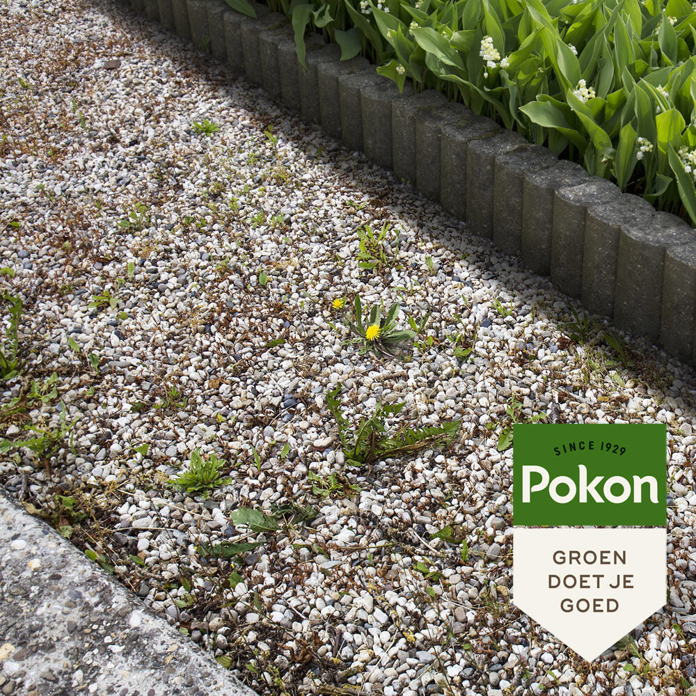 Pokon gegen Unkrautkonzentrat 450 ml