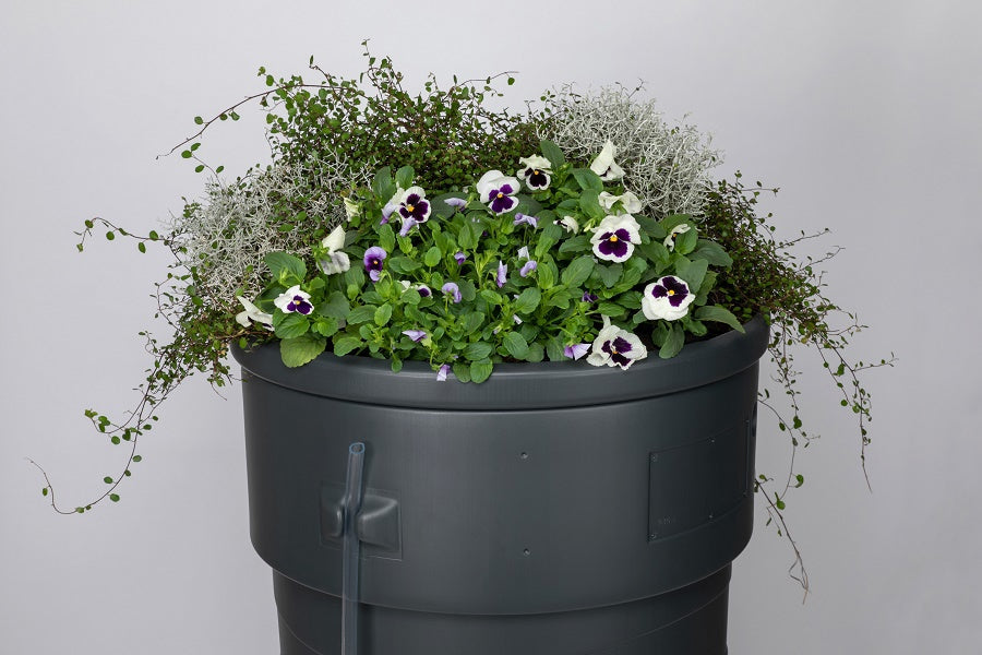 Regentonne für den Garten, 230 l