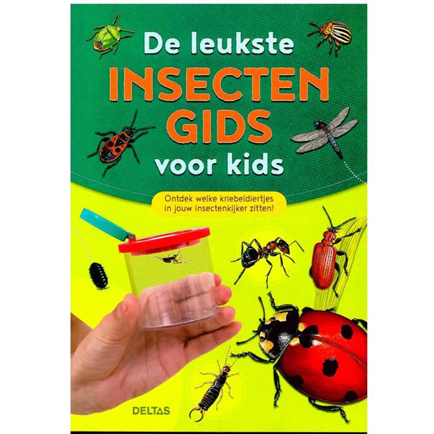 Der beste Insektenführer für Kinder