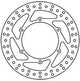 TRW -Rotor MST311 starr