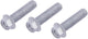 TRW -Schraubenset 3PCS. M8x1.25