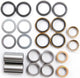 Alle Bälle Rennreparatursets 28-1125 ABR Swingarm Bearing