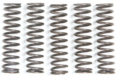 TRW Clutch Spring Kit MEF105-5
