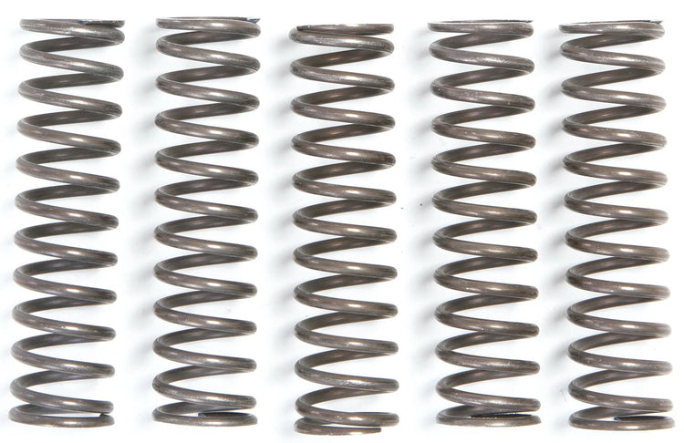 TRW Clutch Spring Kit MEF105-5