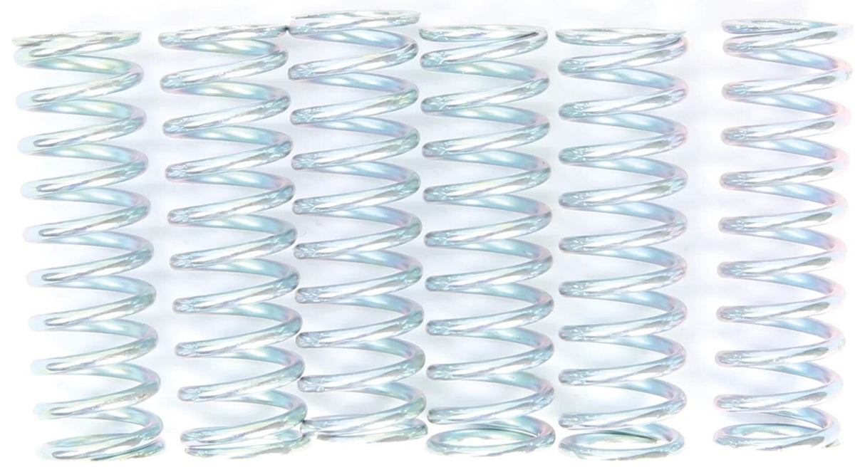 TRW Clutch Spring Kit MEF117-6