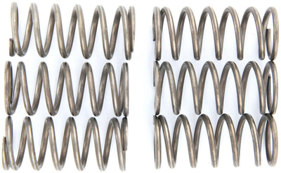 TRW Clutch Spring Kit MEF138-6