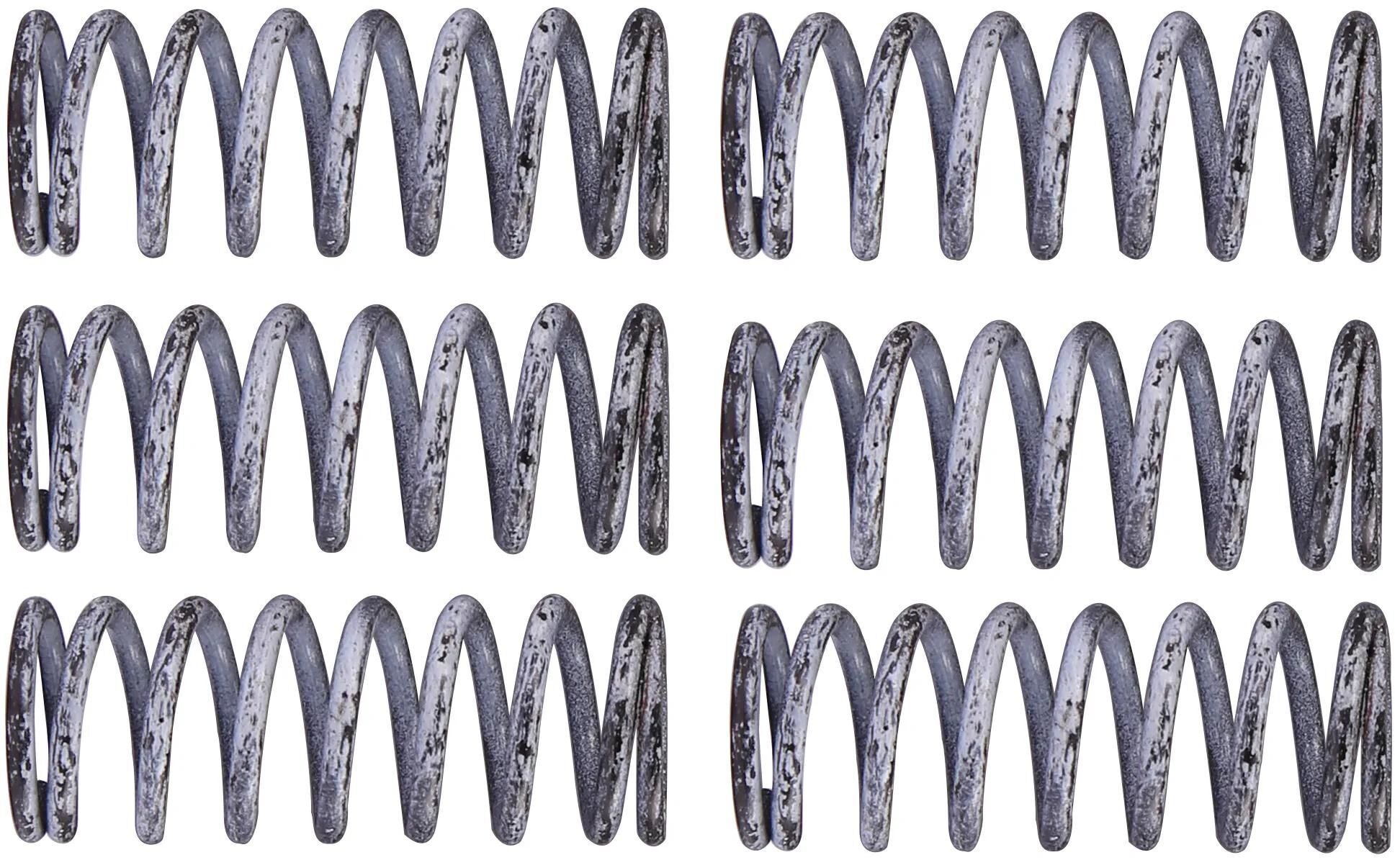 TRW Clutch Spring Kit MEF305-6