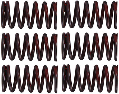 TRW Clutch Spring Kit MEF320-6