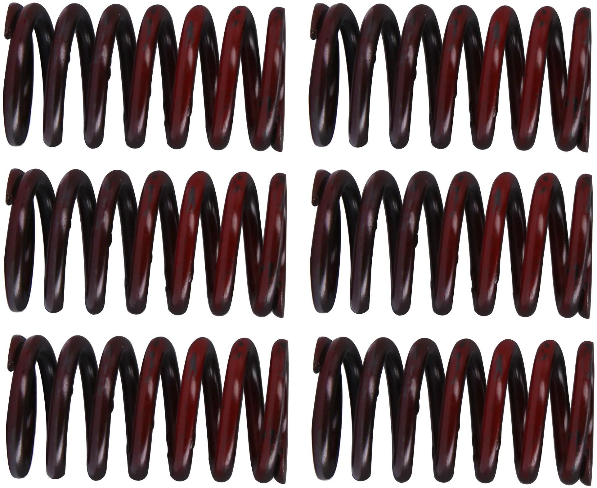 TRW Clutch Spring Kit MEF317-6
