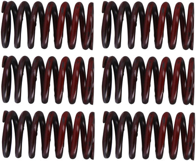 TRW Clutch Spring Kit MEF317-6