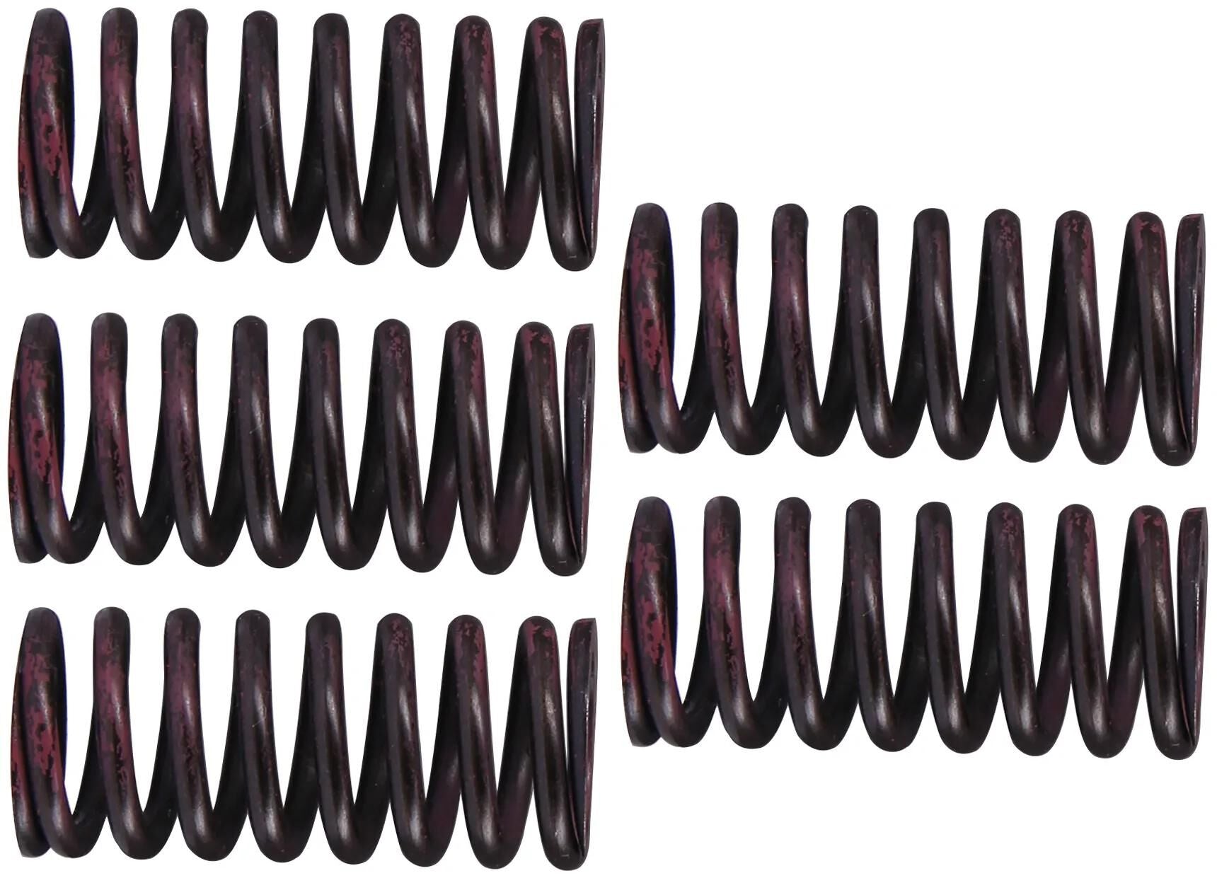 TRW Clutch Spring Kit MEF316-5