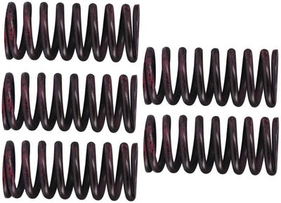 TRW Clutch Spring Kit MEF316-5