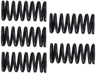TRW Clutch Spring Kit MEF309-5