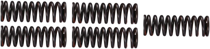 TRW Clutch Spring Kit MEF323-5