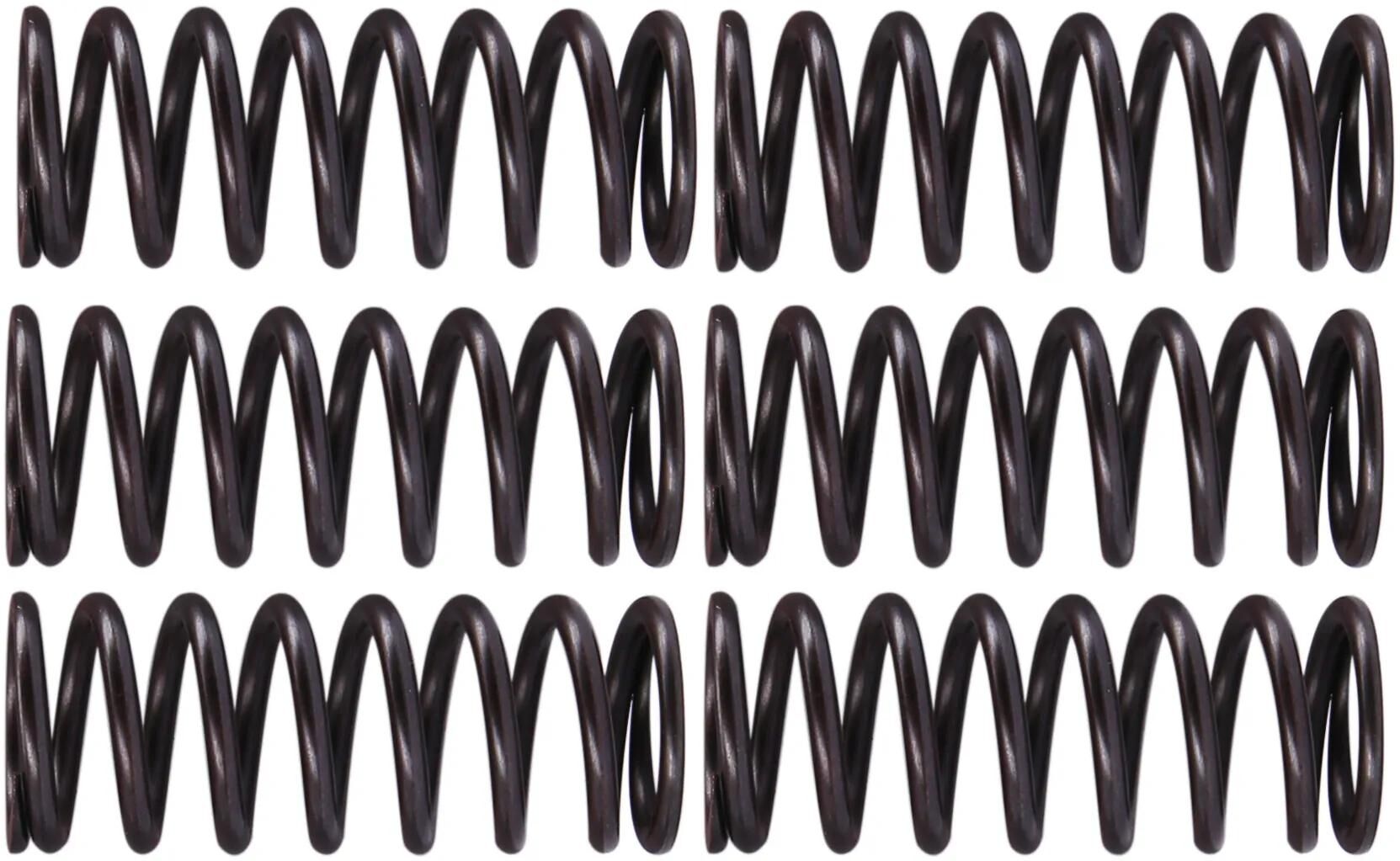 TRW Clutch Spring Kit MEF326-6