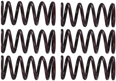 TRW Clutch Spring Kit MEF300-6