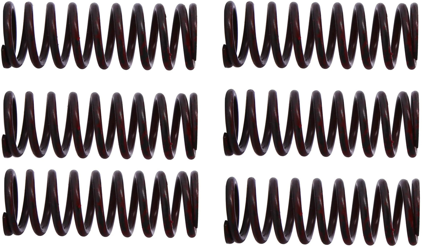 TRW Clutch Spring Kit MEF302-6