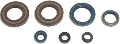Athena Motordichtsatz Motorshield 600 LC4, 87-94,