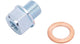 Daytona Accessoires