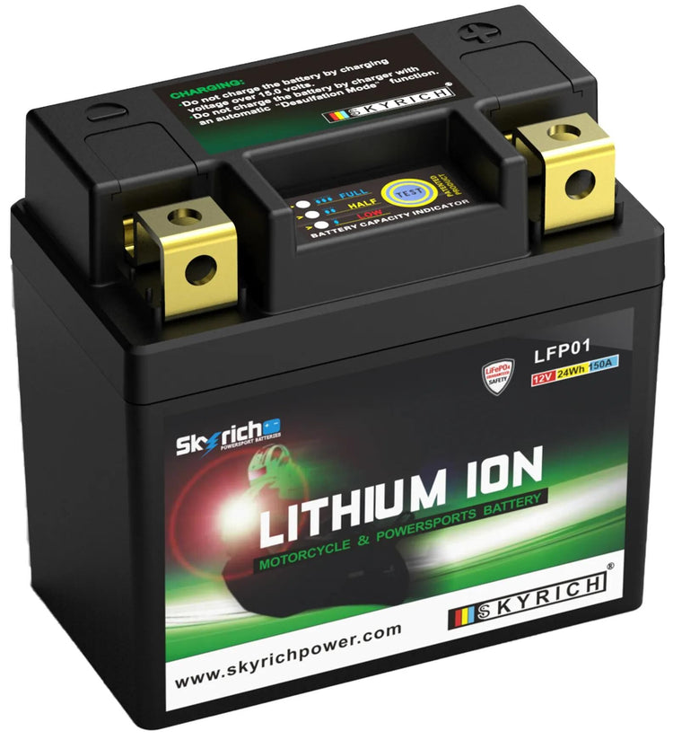 Skyrich Lifepo4-Batterie lfp01. Batterie lfp01-i Lithium