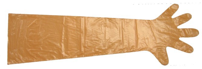 Kerbl Untersuchungshandschuh vetbasic lang 90cm %c3%a0 100 Stk