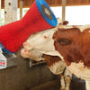 Happycow Kuhbürste uno horizontal