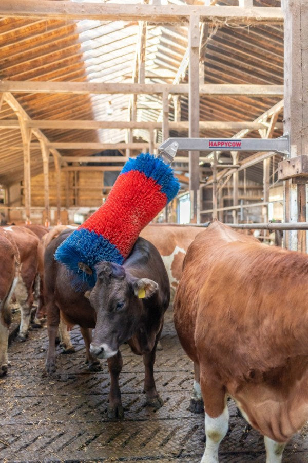 Happycow Viehbürste Freemaxi