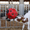 Roter Futterball