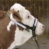 Bullenhalfter aus Nylon mit D-Ring