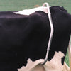 Produkte Spannbügel Edelstahl QRS 1