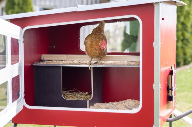 Mobilecoop Hühnerstall aus Holz