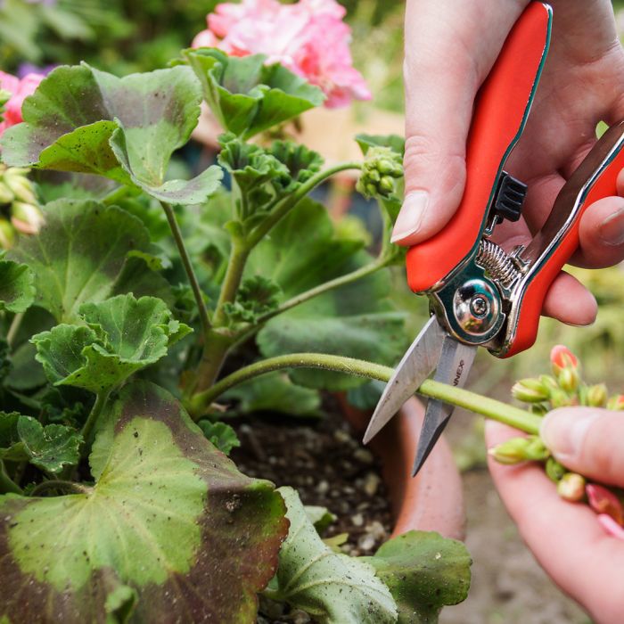 Mm Eurotool Trimmer-Ernteschere Mini