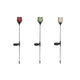 LED-Solar-Gartenlampe Tulpenglas 9x9x79cm