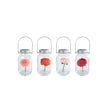LED-Beleuchtung Blumen Glas 10x10x18cm