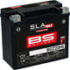 BS-Batterie Batterie BGZ20HL BS SLA-Max HD