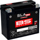 BS Batterie Batterie BGZ20H BS SLA-Max HD