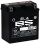 BS -Batterie Batterie BTZ7V BS SLA