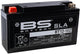 BS Batterie Batterie BT12-10Z BS SLA