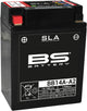 BS Batterie Batterie BB14A-A2 BS SLA