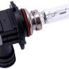 Spahn -Scheinwerferbirne 12V 65W HB3 P20D