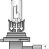 Spahn -Scheinwerferbirne 12V 65W HB3 P20D