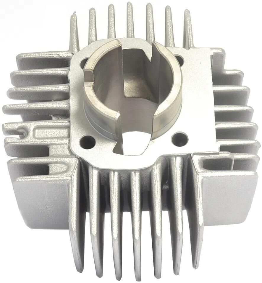 Athena Zylinder Zylinder kpl. Puch Maxi Mofa 25 km