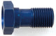 TRW Hohlschraube MCH911 Blau