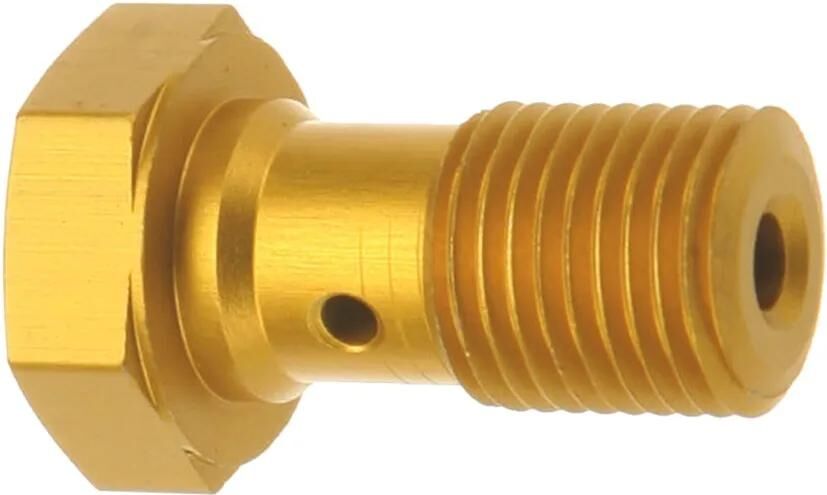 TRW Hohlschraube MCH911 Gold