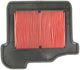 Hiflofiltro-Luftfilter HFA-4921
