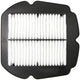 Hiflofiltro -Luftfilter Hiflo Hfa3618