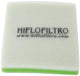 Hiflofiltro Ersatz.Filter HFF-2022
