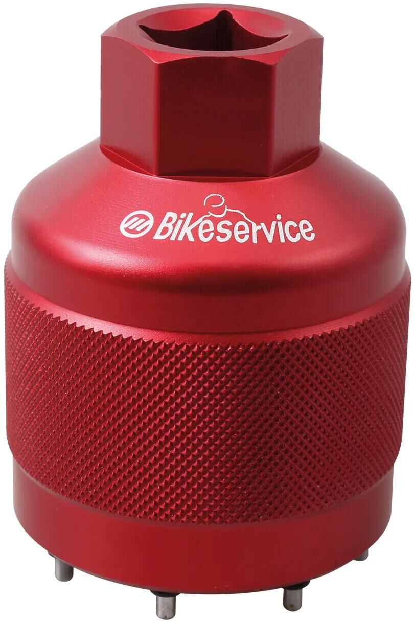 BikeService STKschleinen Nuss Bst 8Pin F oehlins