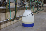 Kerbl Milcheimer halbtransparent blau 30 Liter - afbeelding 5